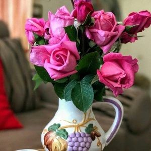 Meet your Posher, Telvis